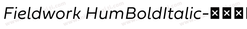 Fieldwork HumBoldItalic字体转换